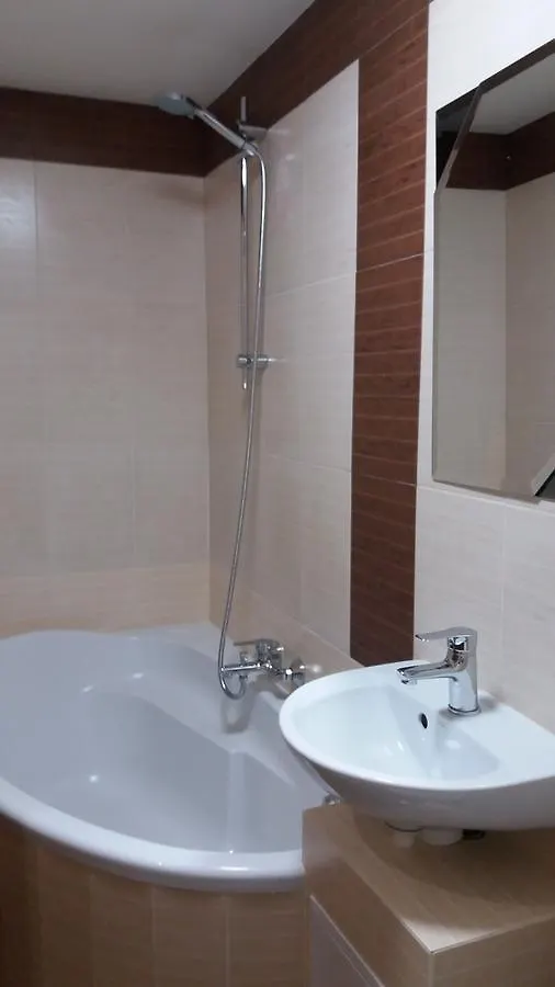 Apartment On Vienietsianova 13 Lviv