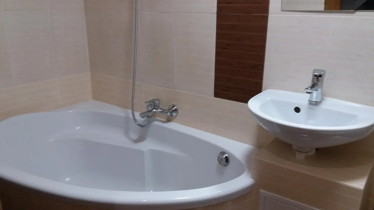 Apartment on Vienietsianova 13 Lwów Ukraina